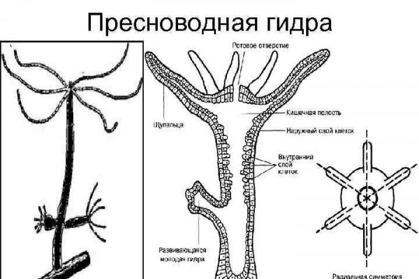 Омг ссылка зеркало рабочее