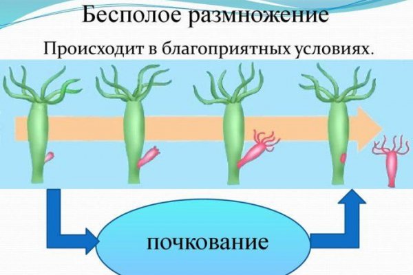 Новый сайт омг onion