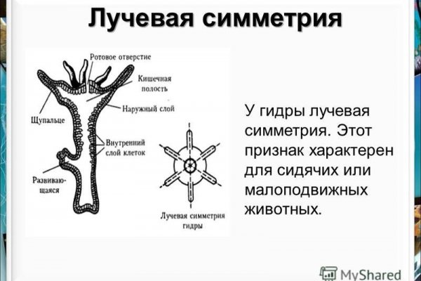 Официальный сайт омг