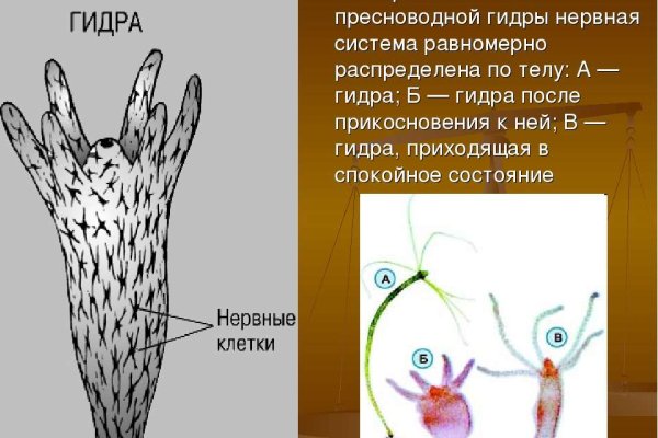 Кракен онлайн